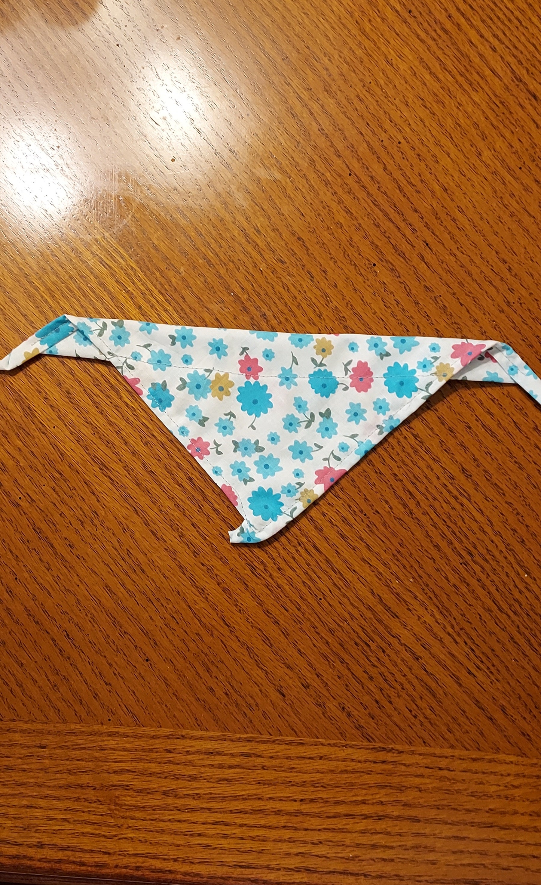 Over The Collar Bandana for Cat or Small Dog